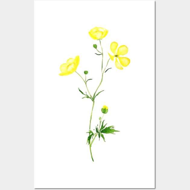 yellow buttercup flower watercolor Wall Art by colorandcolor